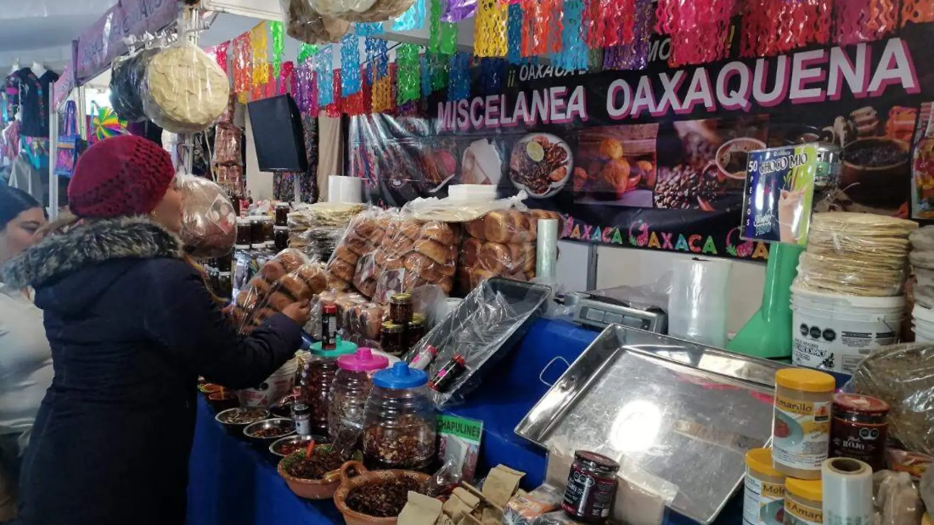 Festival Oaxaca en Tula